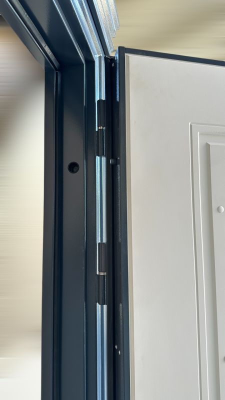 MDS DOORS Bastion