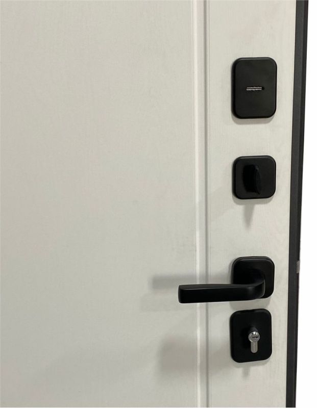 MDS DOORS SNEGIRI