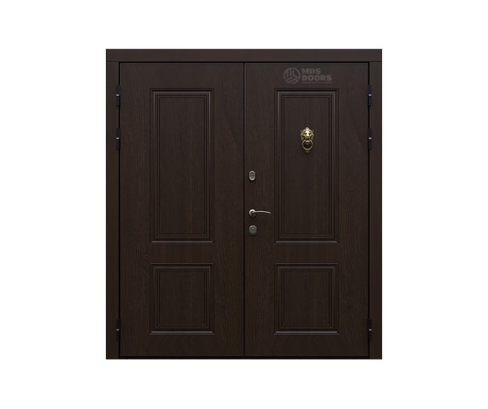 Двустворчатая входная дверь «Fusion»